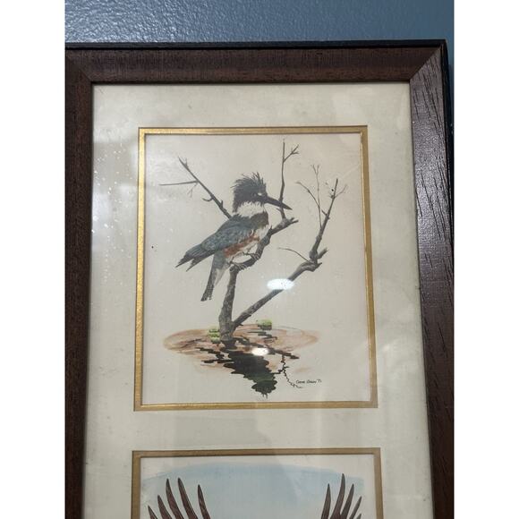 Gene Gray Wood Framed Signed 70 Prints King Fisher Bald Eagle Owl - Picture 2 of 5